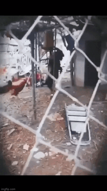 The rooster follows the goat, unaware of the horror about to happen.