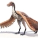 decoding the bird species that is very hot and makes gamers recognize the movie right away 119287