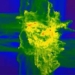 decoding the formation of the first fundamental constants in the universe 121665