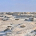 decoding the most deadly venomous island on earth no one dares to approach 120024