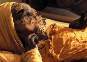 decoding the mysterious appearance of the pharaohs of egypt that has left archaeologists in awe 120316