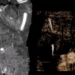 decoding the mysterious preservation of 2000 year old egyptian mummy 118109