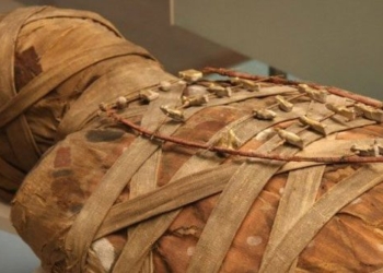 decoding the mystery of the ethnicity of ancient egyptians 123317