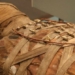 decoding the mystery of the ethnicity of ancient egyptians 123317