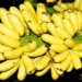 delicious banana varieties chosen by ancient people for royalty 118737