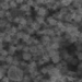 dentist scientist research nano gold bactericide technology 124478