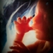 detecting toxic substances in the brain and fetus 123453