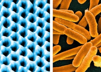 develop super sensitive devices hear instead of bacteria 120216