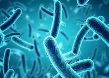 development of new broad spectrum antibiotics that can eliminate drug resistant bacteria 121842