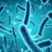 development of new broad spectrum antibiotics that can eliminate drug resistant bacteria 121842