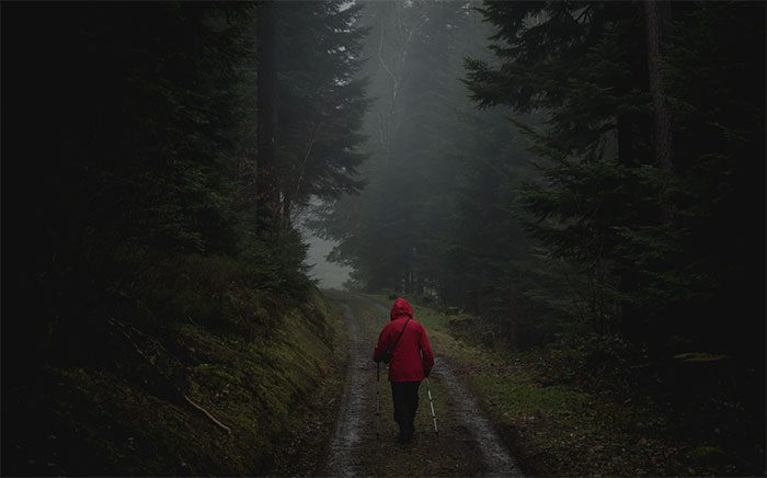 Walking in the forest during heavy rain has unexpected health benefits.