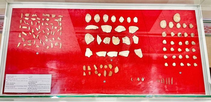 Animal bones, clay samples, and mollusk shells dating back 5,500 - 4,000 years