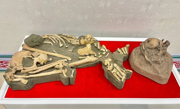 Prehistoric remains discovered in C6.1 cave