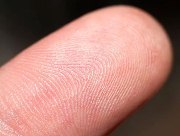 Fingerprints