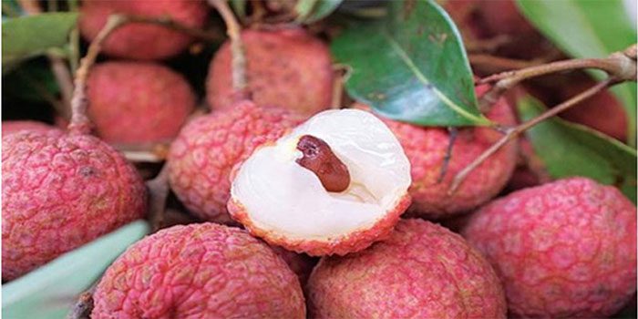 Drinking a little salt water before eating helps reduce the warming properties of lychee.