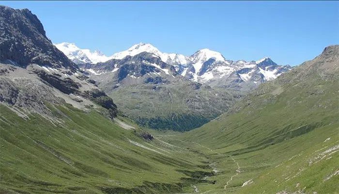 The "greening" process of the Alps is a stark warning about the accelerating climate change