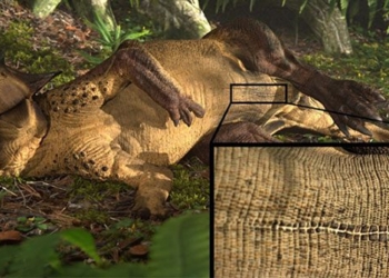 dinosaur skeleton discovered 130 million years ago leaves scientists stunned 121144
