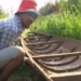 disappointment and abandonment of the man who turned the boat and unexpected harvest 118259