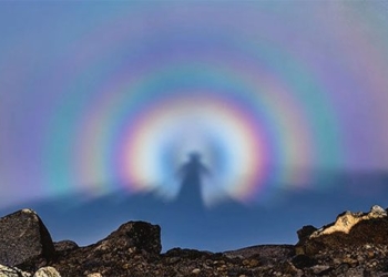 discover 5 most famous illusions in the world that deceive the eye even though they are the most common 123692