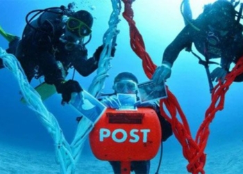 discover 5 most unique deep sea creatures on earth that everyone wants to experience once 122127
