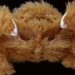 discover new species of moth wearing fur coat 121523