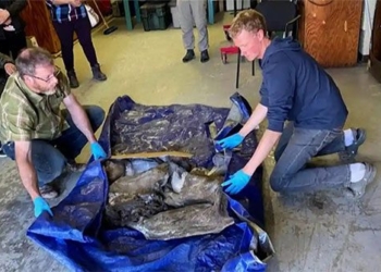 discovered embalmed with mummy while extracting gold 122498