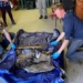 discovered embalmed with mummy while extracting gold 122498