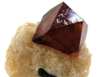 discovering 33 gems that help reverse time on earth 120183