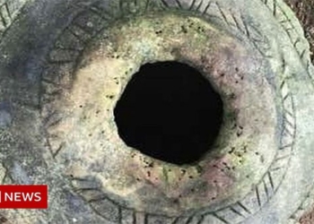 discovering mysterious giant umbrellas in india 119740