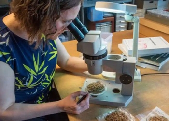discovering the 8 000 frog bones hidden in the sat 121100
