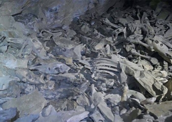 discovery 100 human skeletons in high altitude cave 5000m 120459