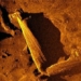 discovery of 120 year old shipwreck beneath the sea 123686