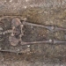 discovery of 40 ghost columns sunk in the sea 118752