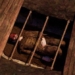 discovery of 5 000 year old ancient wooden pillar in siberia 119079