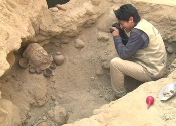 discovery of 6 children columns under 1 000 years old in the collective dream 118863