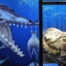 discovery of a 36 million year old whale fossil in huang mac peru 119486