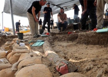 discovery of a 500 000 year old 150kg bear in israel 122785