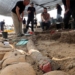 discovery of a 500 000 year old 150kg bear in israel 122785