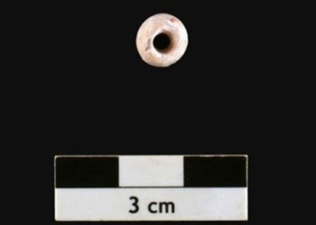 discovery of a 6 500 year old natural pearl in qatar 119223