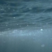 discovery of a batch of healthy living organisms that do not need oxygen light 118272