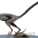discovery of a dragon species never before seen in china 124329