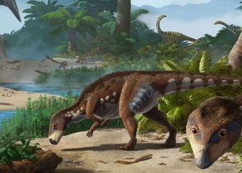 discovery of a giant dinosaur on the prehistoric island of transylvania 124488