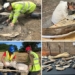 discovery of a grave with a 210 000 year old mummy 118223
