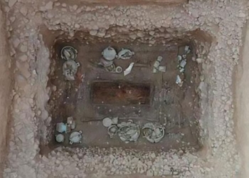 discovery of a mysterious body of a pregnant woman 120985