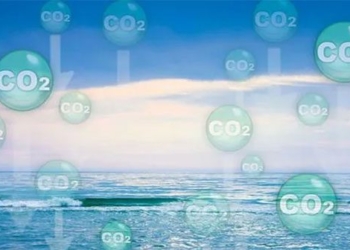 discovery of a new bacteria species with the ability to absorb natural carbon 119388
