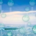 discovery of a new bacteria species with the ability to absorb natural carbon 119388