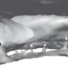 discovery of a part of the human brain that has never been known 119454