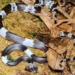 discovery of a rare defective snake in ha tinh and ninh binh 119918