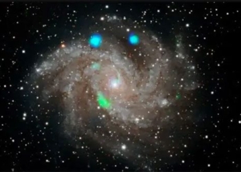 discovery of a rare x particle existing from the birth of the universe 119217