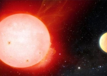 discovery of a sticky planet with a large pink sweet color 123691